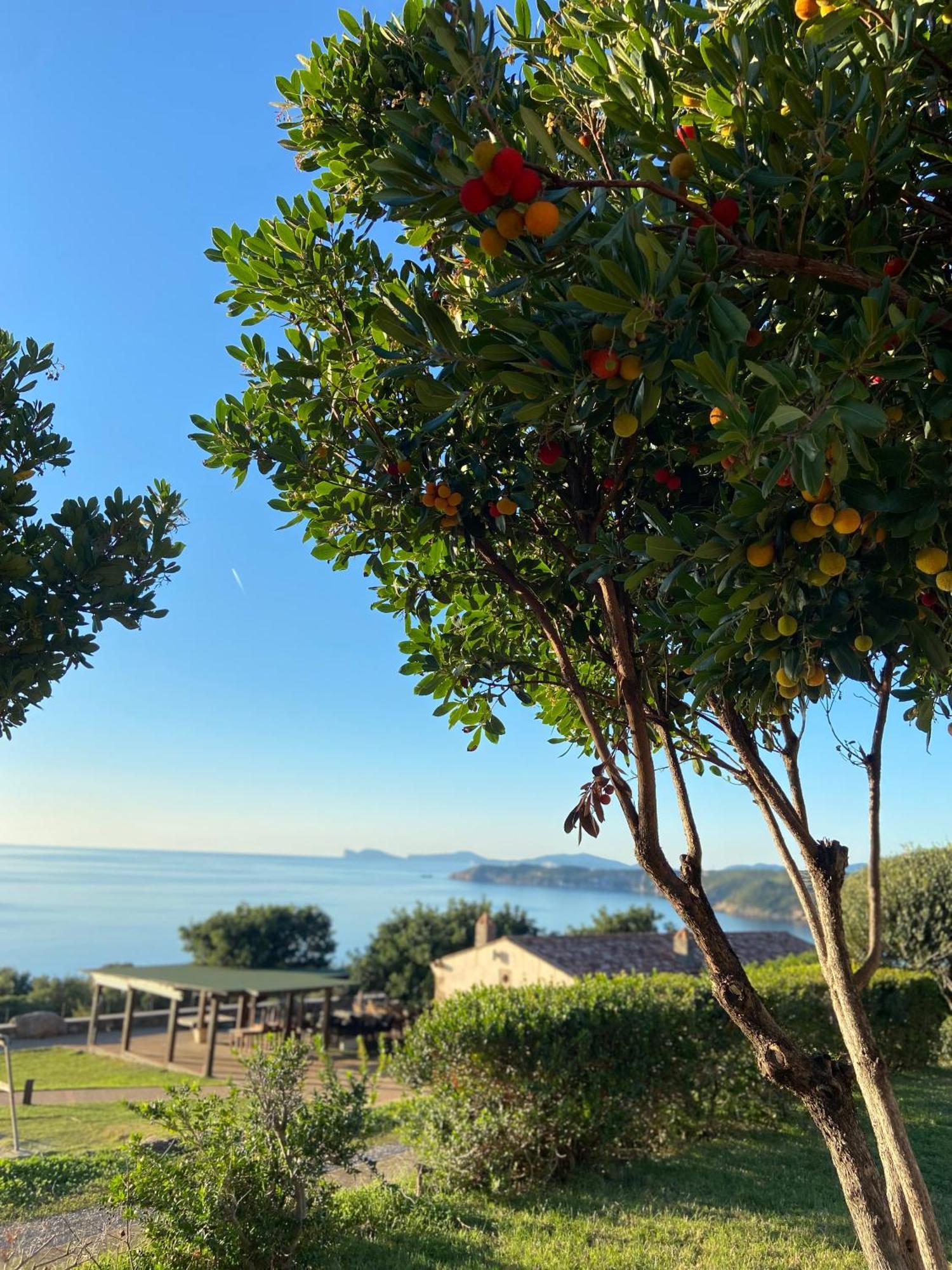 Pedramare Suite Alghero Exteriör bild